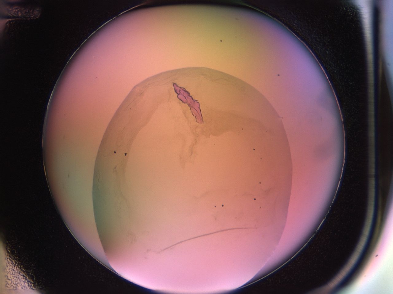 02q0_D12_ImagerDefaults_8.jpg