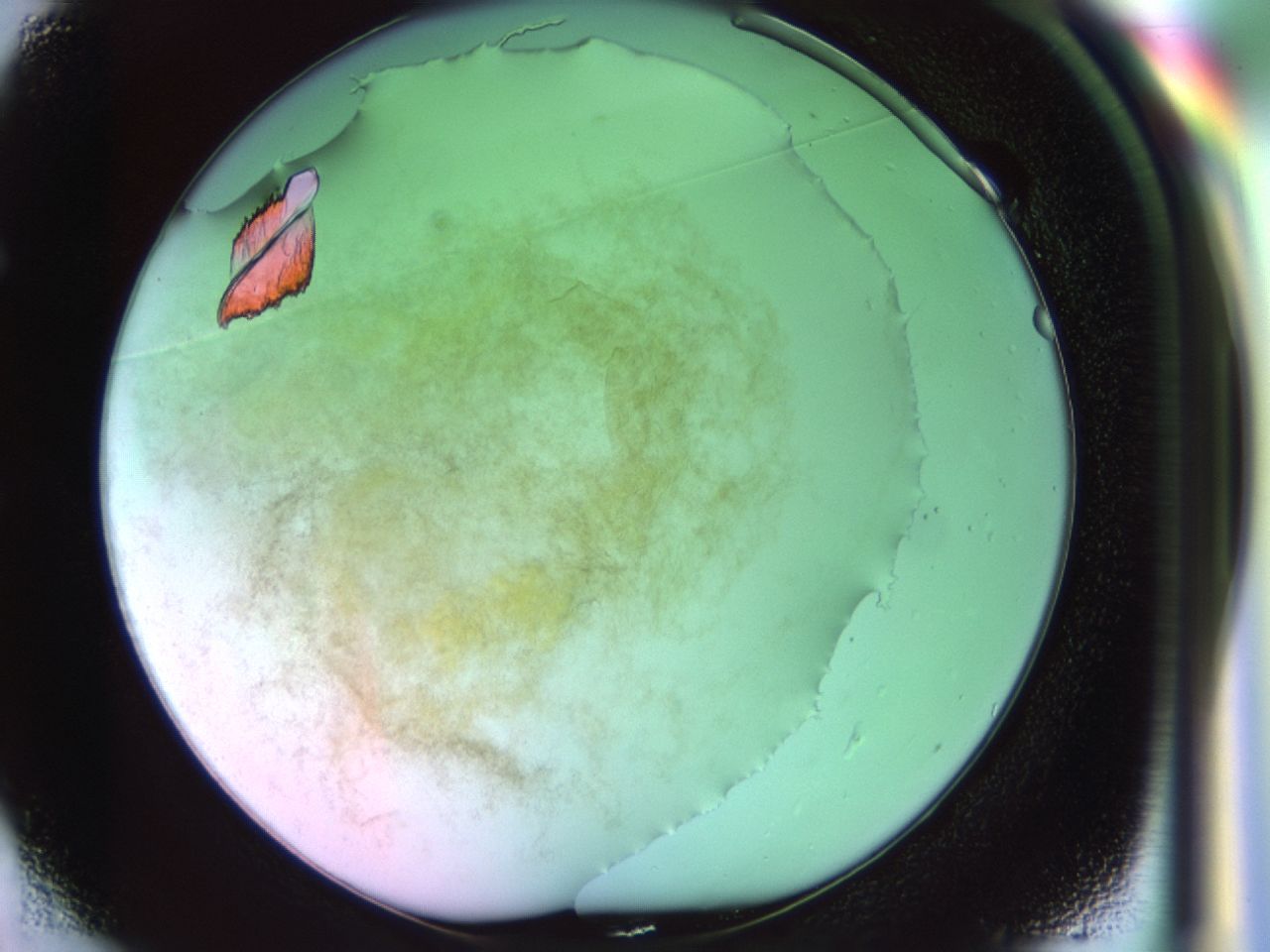 02q0_E1_ImagerDefaults_8.jpg