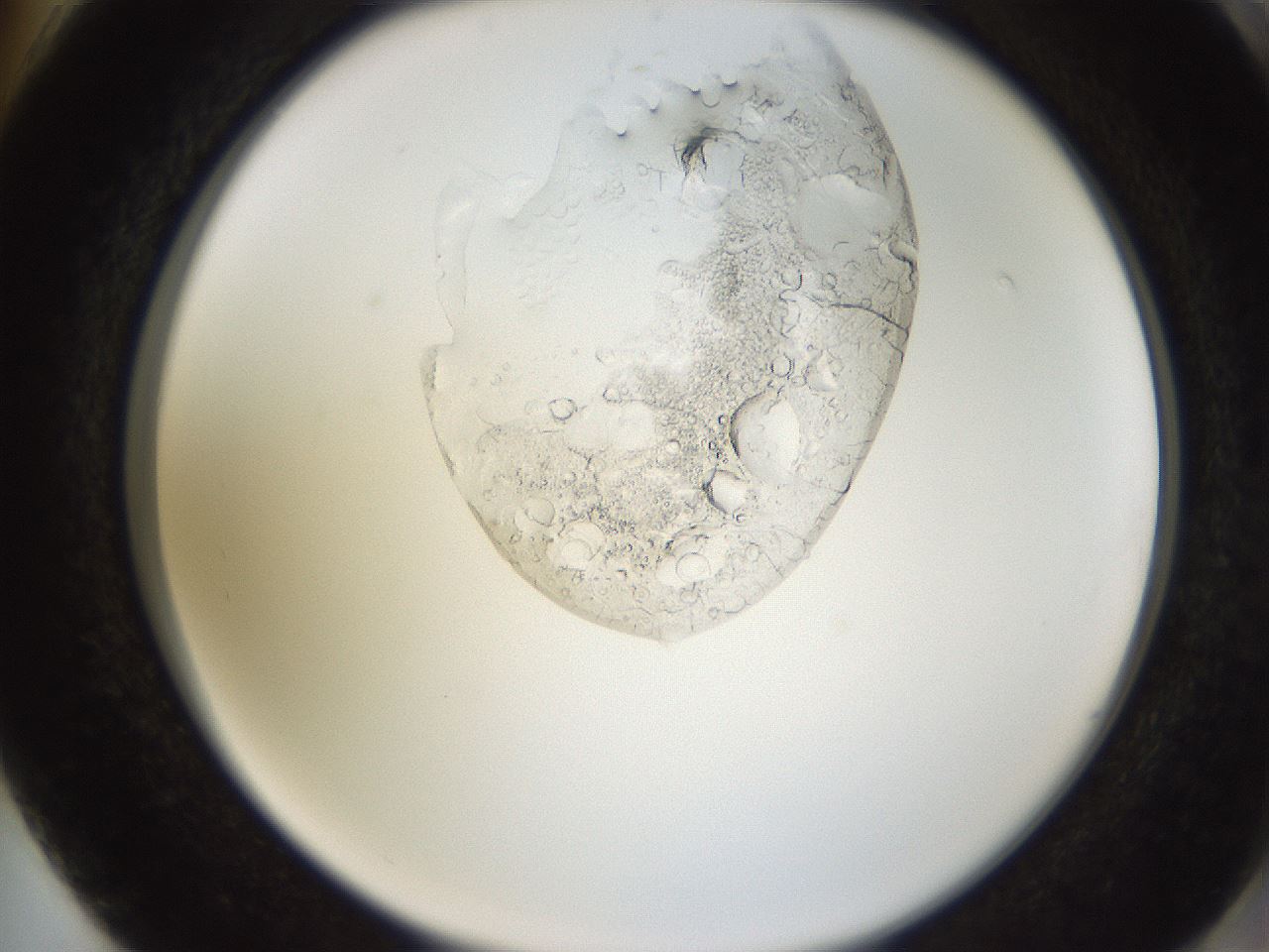 folderID595_plateID1595_batchID6723_wellNum74_profileID1_d2_r105159_ef.jpg