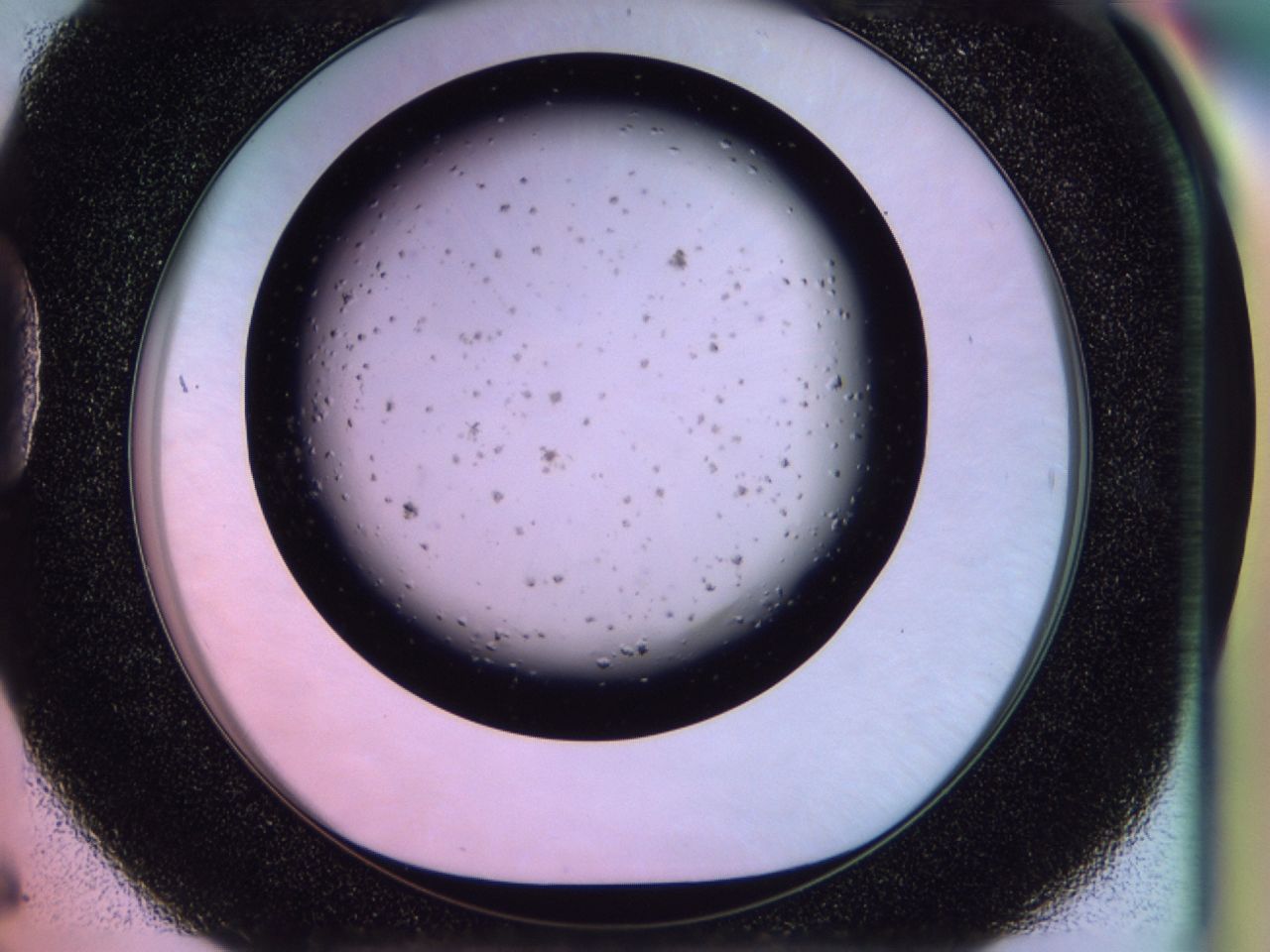 02qg_D6_ImagerDefaults_6.jpg