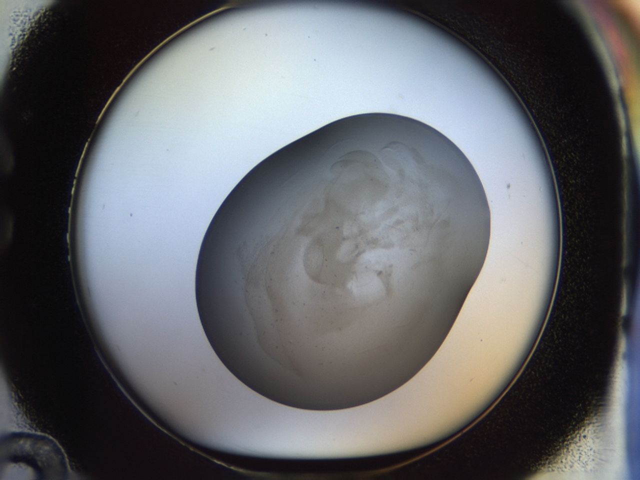 02sc_C12_ImagerDefaults_6.jpg