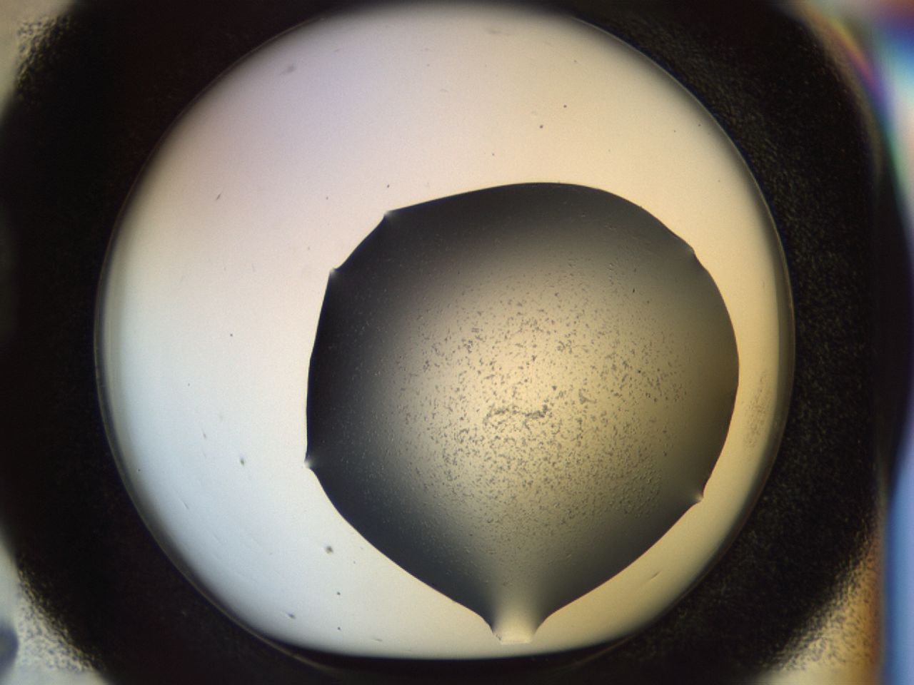 02se_D7_ImagerDefaults_6.jpg