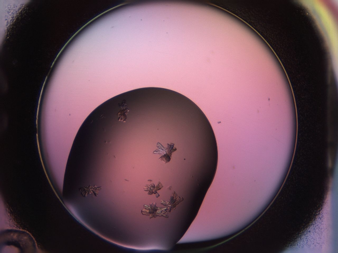02sg_C12_ImagerDefaults_9.jpg