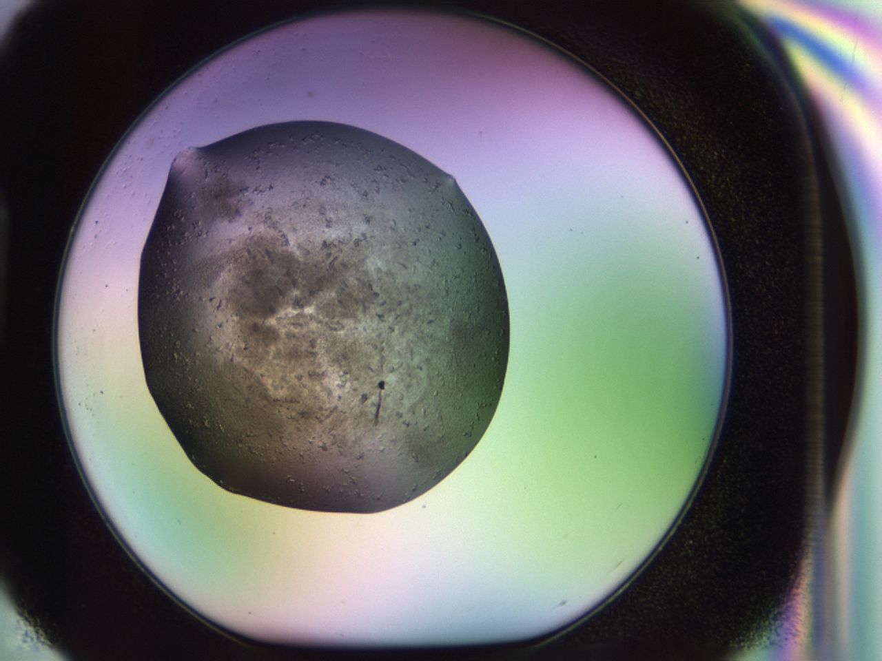 02si_H4_ImagerDefaults_8.jpg