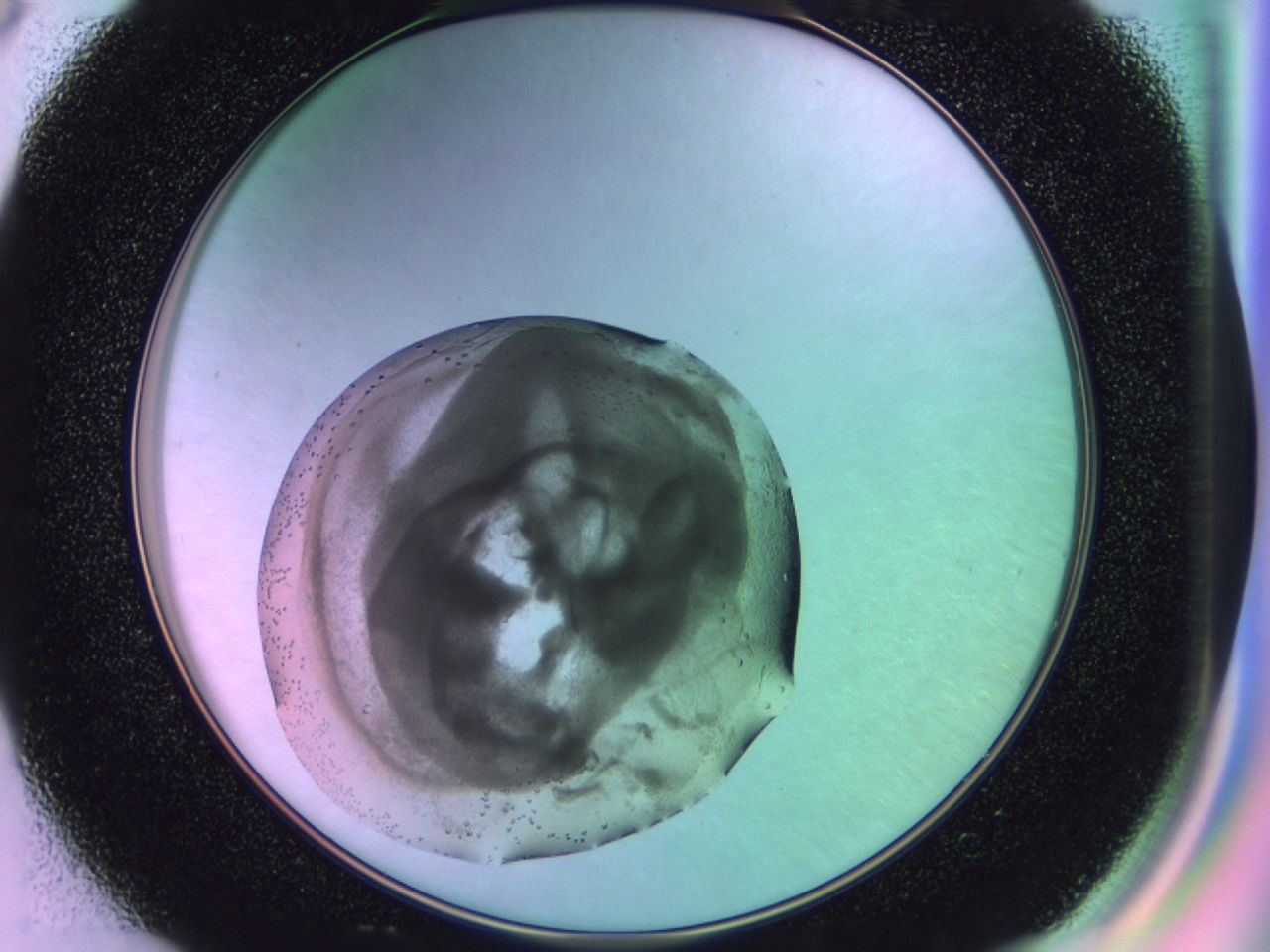 02sj_D3_ImagerDefaults_8.jpg