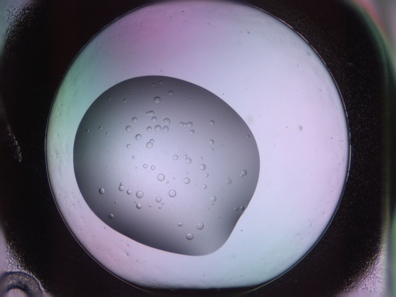 02sk_A10_ImagerDefaults_6.jpg
