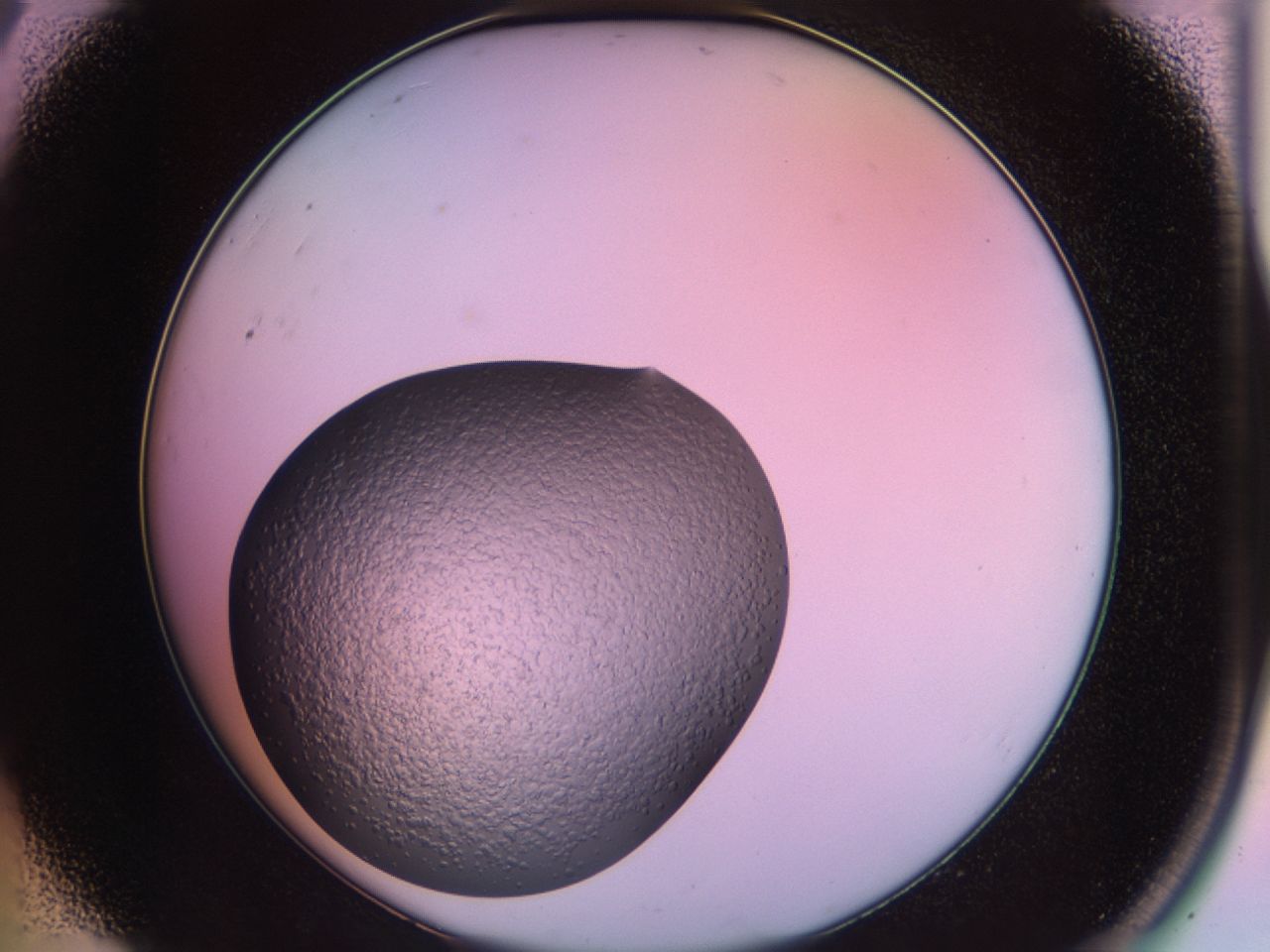 02sk_A9_ImagerDefaults_7.jpg