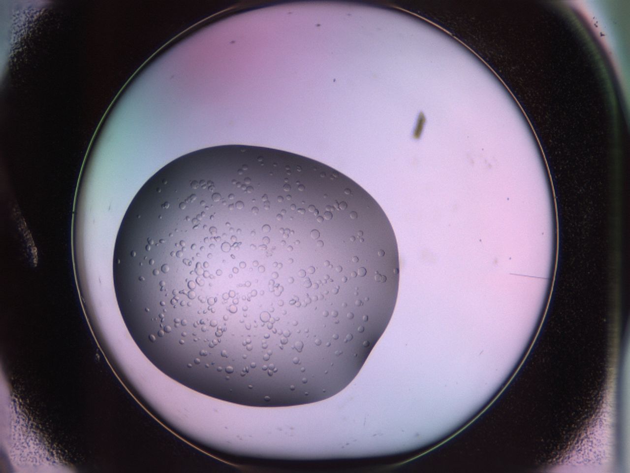02sk_A9_ImagerDefaults_6.jpg