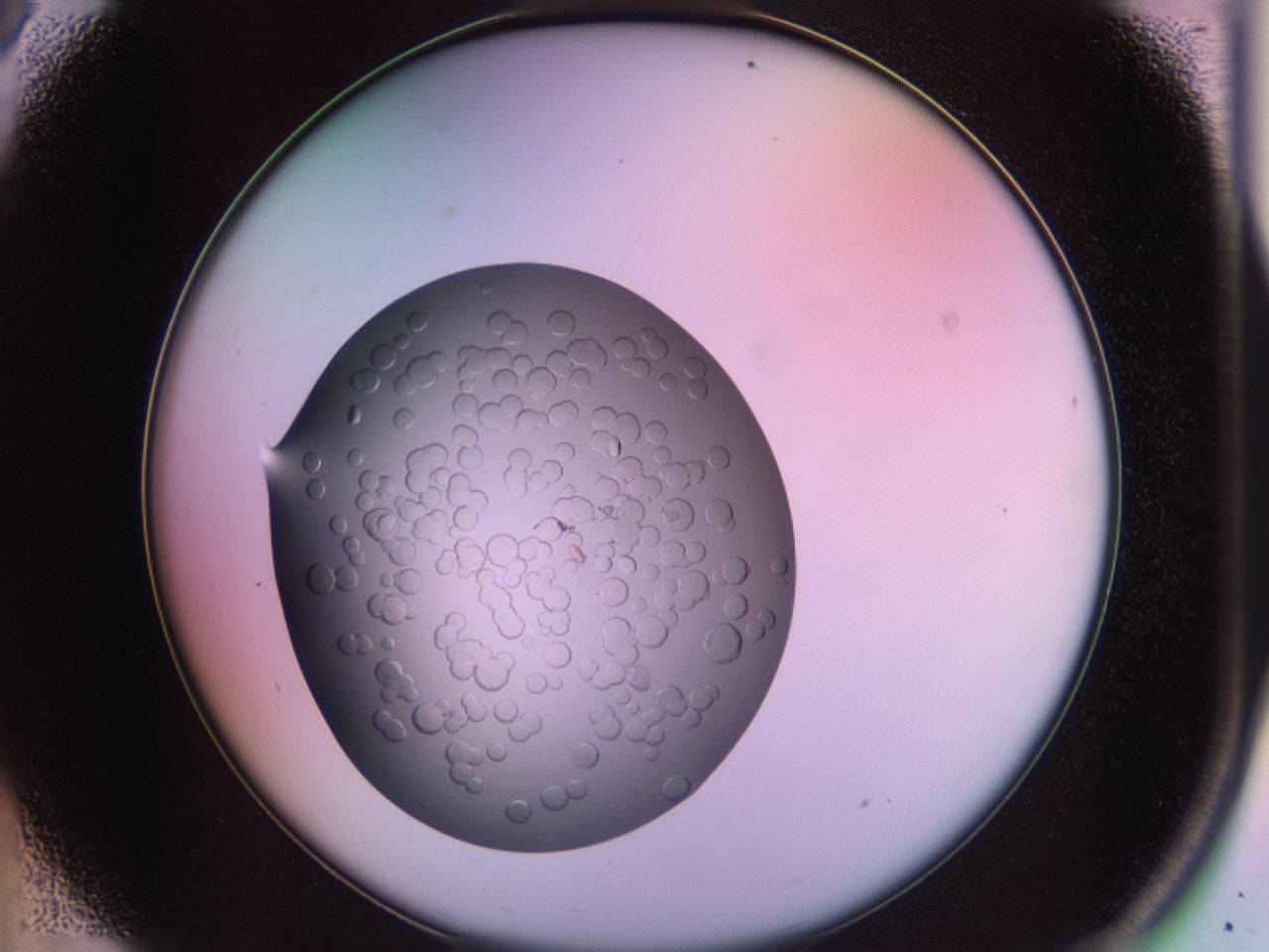 02sk_A8_ImagerDefaults_7.jpg