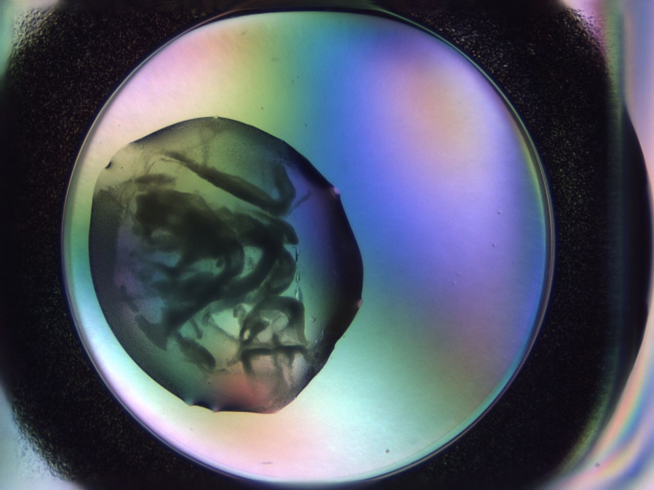 02sl_G4_ImagerDefaults_6.jpg