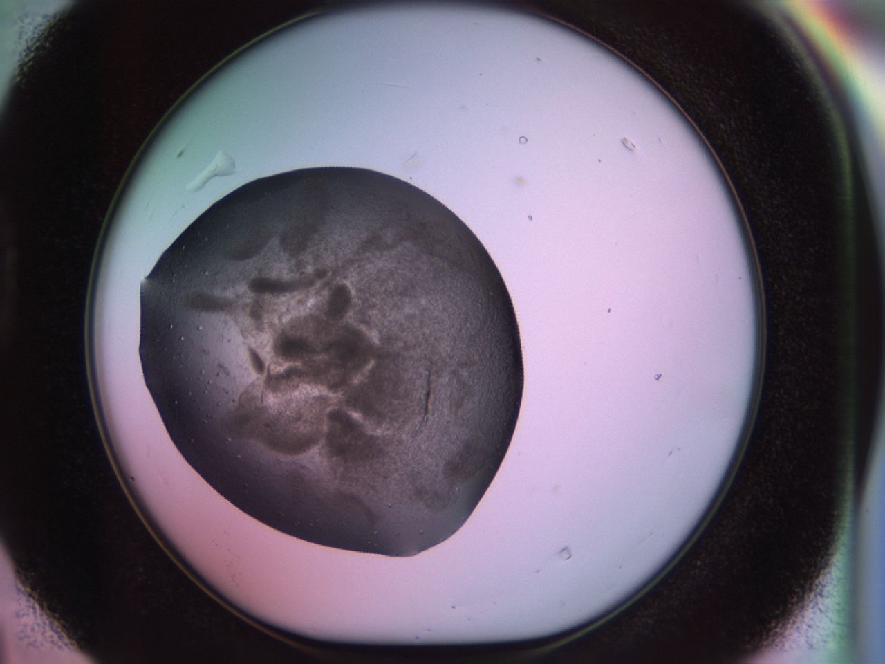 02sm_D4_ImagerDefaults_7.jpg