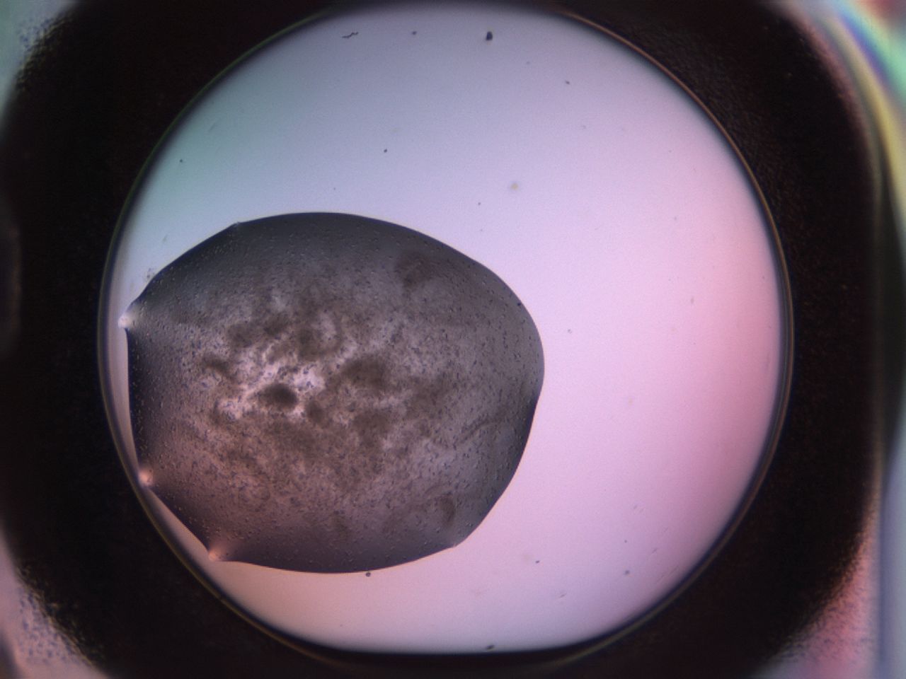 02sm_D9_ImagerDefaults_7.jpg