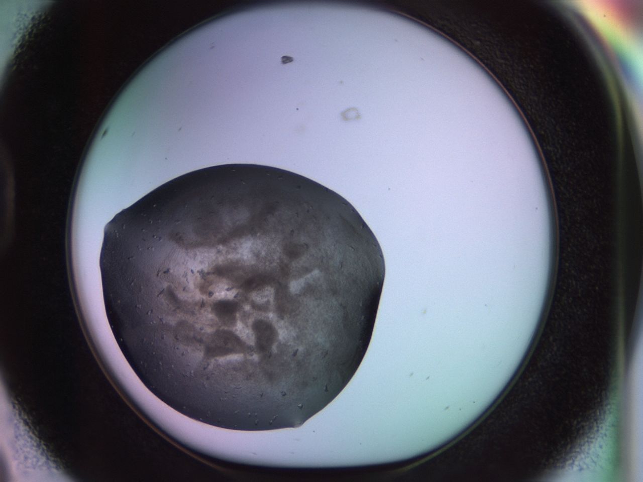 02sm_D8_ImagerDefaults_8.jpg