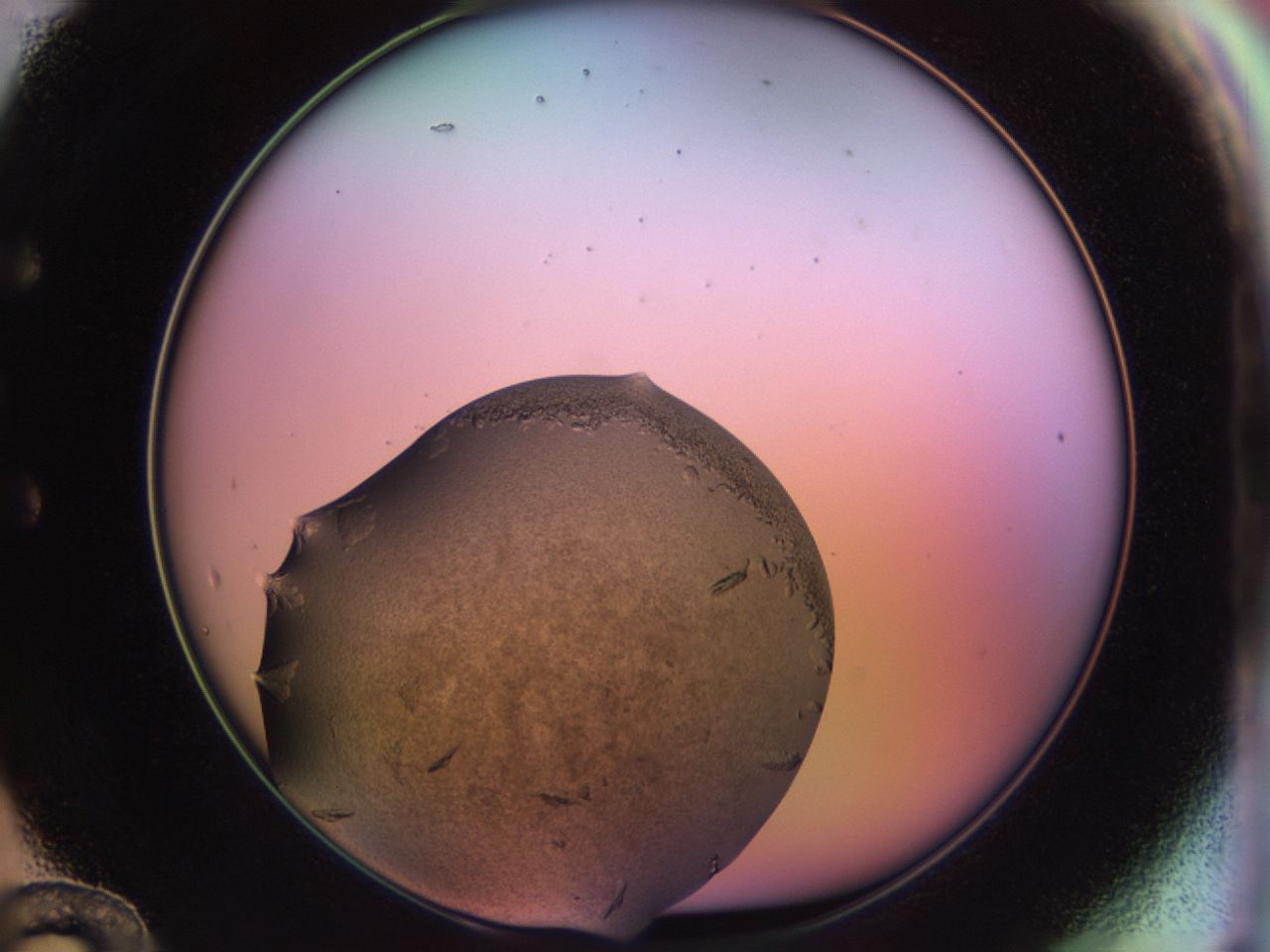 02so_E12_ImagerDefaults_9.jpg