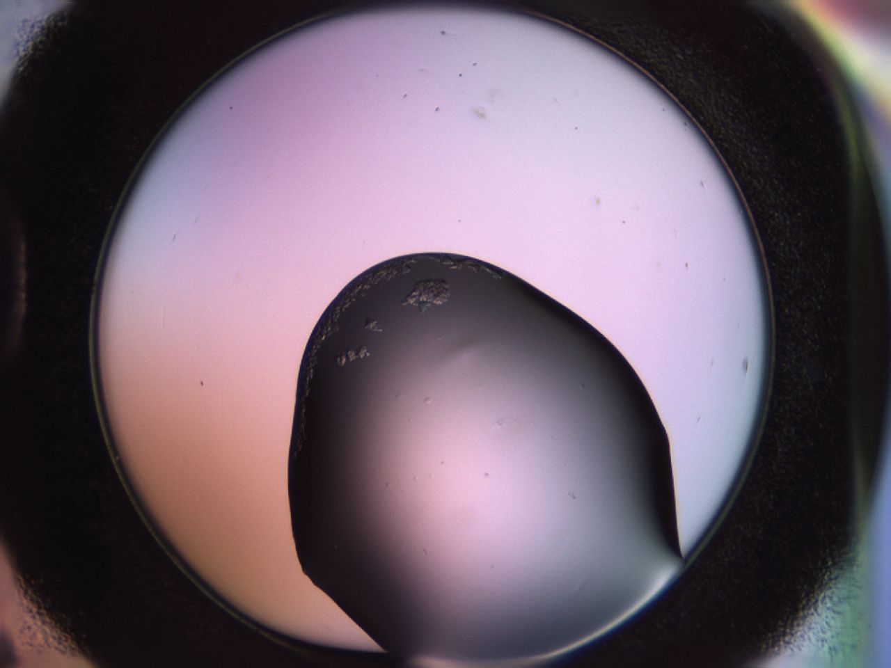 02so_D6_ImagerDefaults_9.jpg