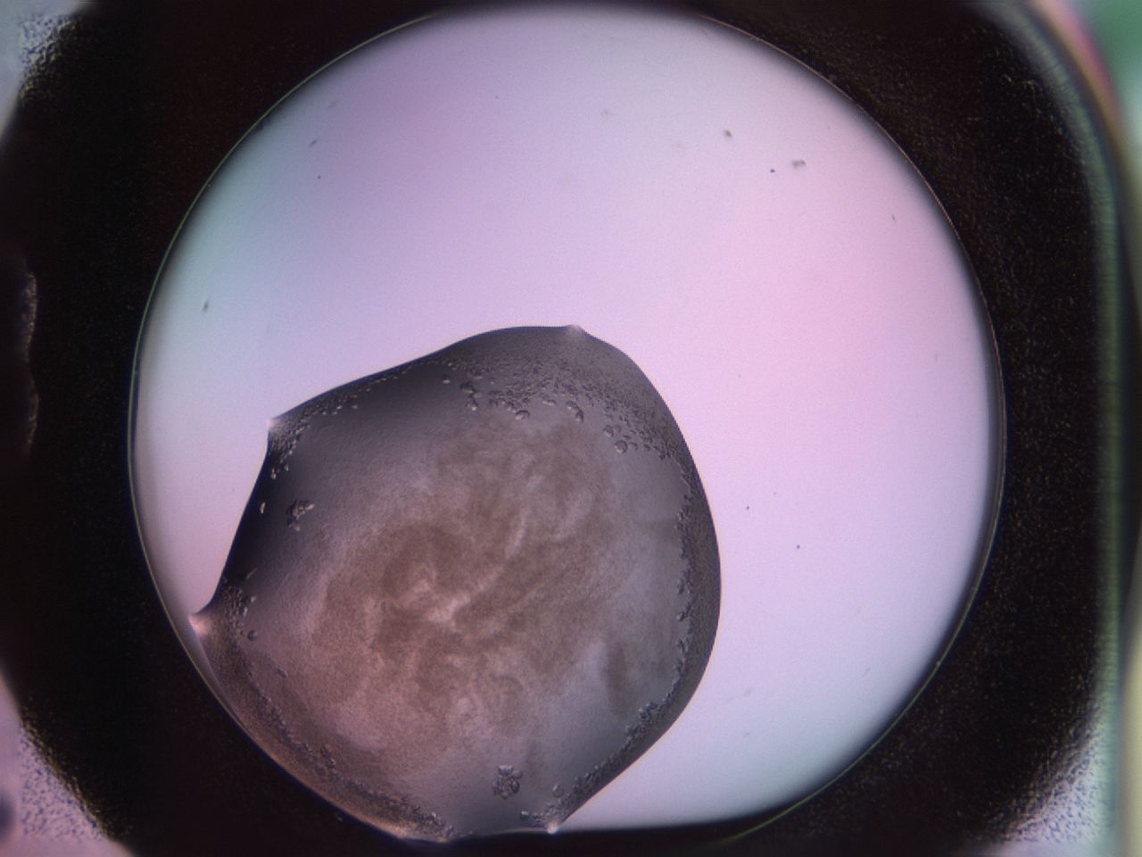 02so_B5_ImagerDefaults_9.jpg