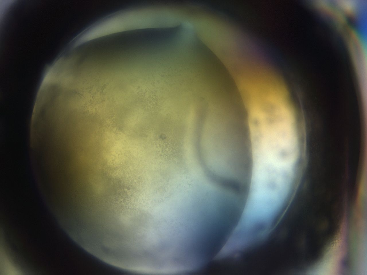 02sq_G3_ImagerDefaults_9.jpg
