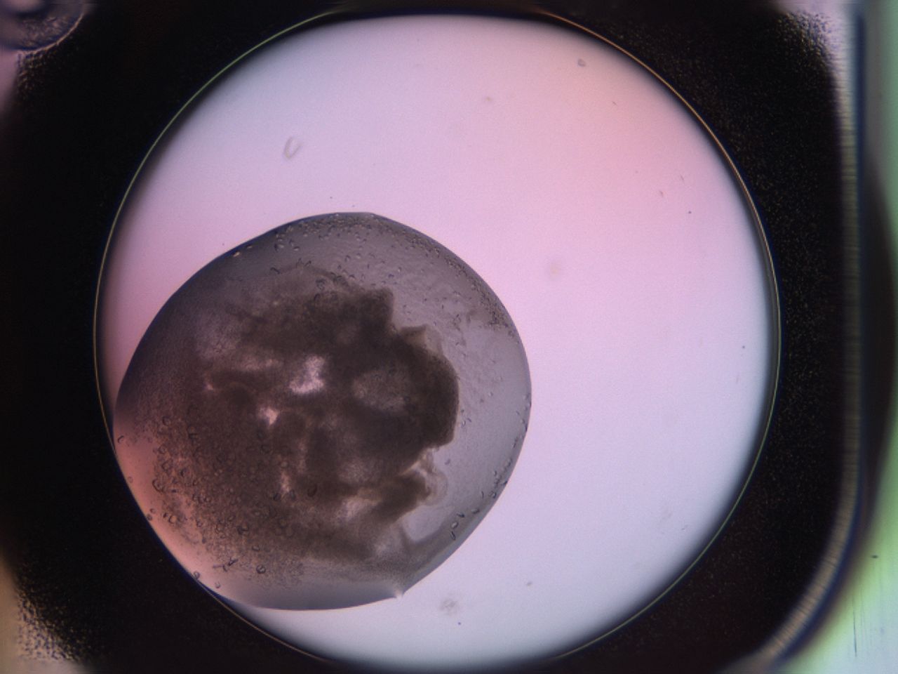 02sq_B10_ImagerDefaults_9.jpg