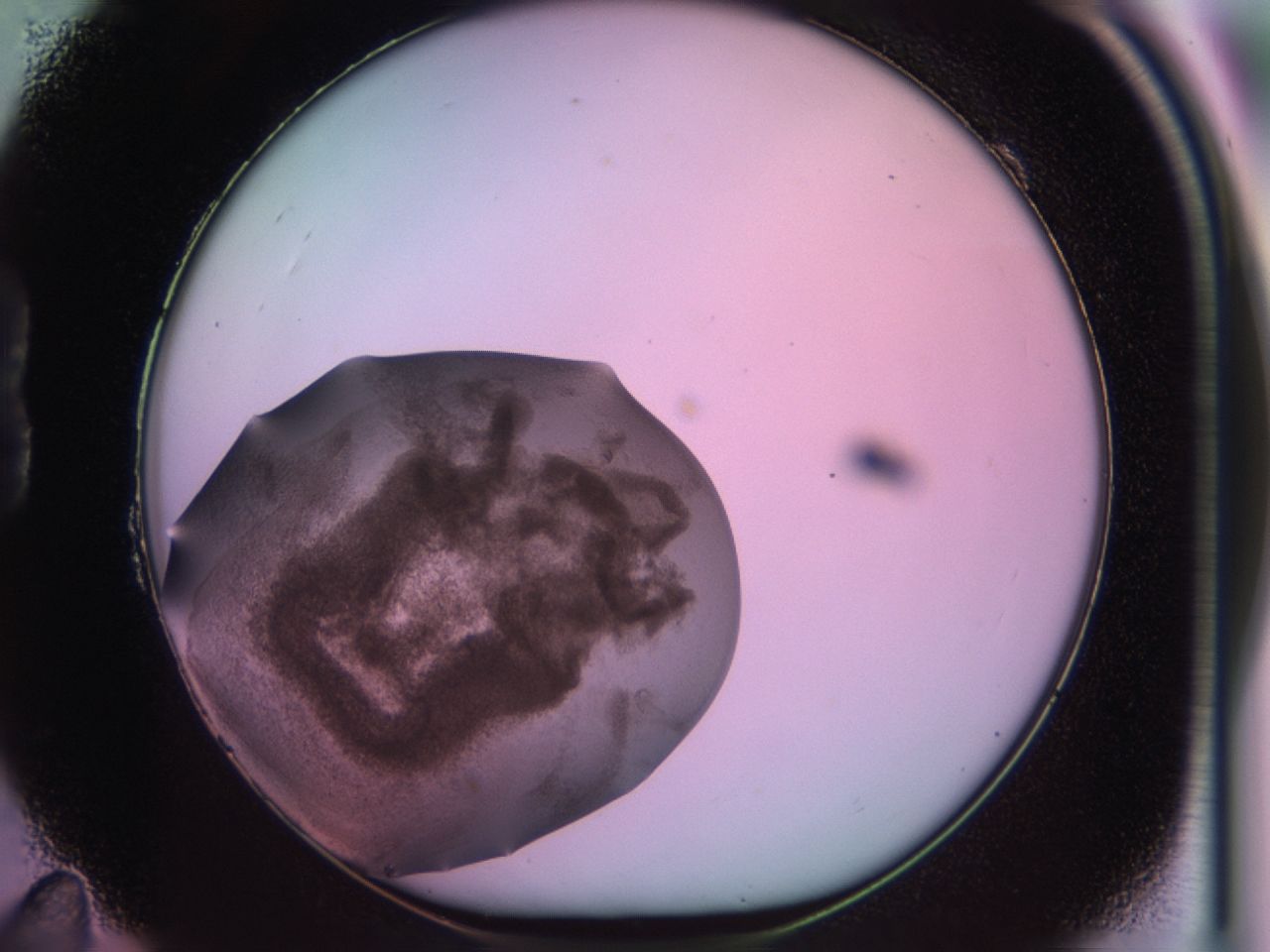 02sq_B11_ImagerDefaults_9.jpg