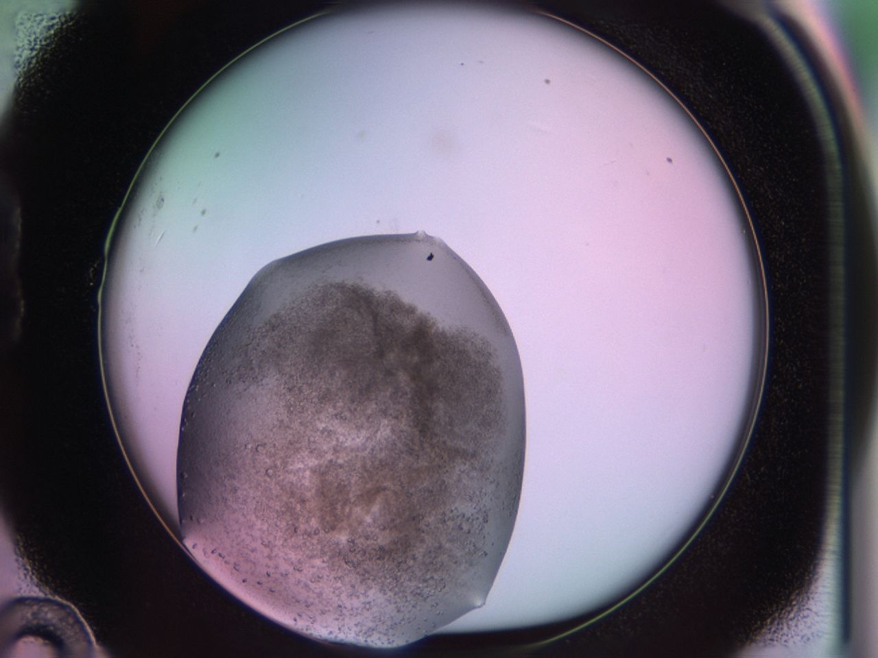 02sq_B10_ImagerDefaults_8.jpg