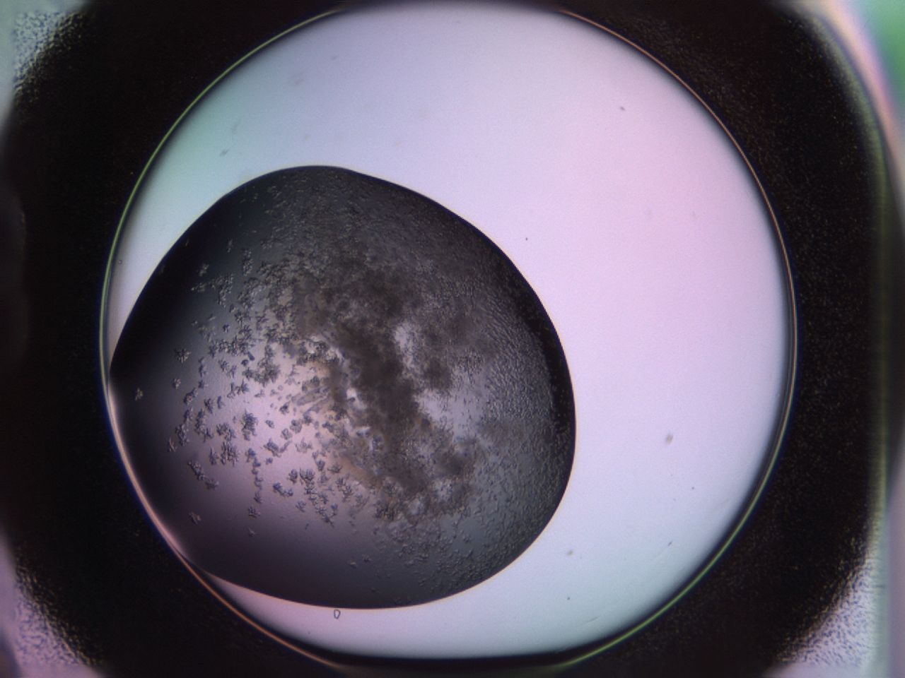 02th_B9_ImagerDefaults_6.jpg