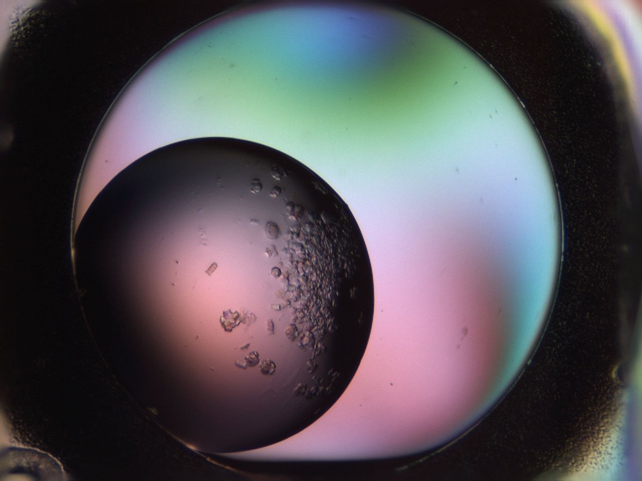 02th_F12_ImagerDefaults_6.jpg