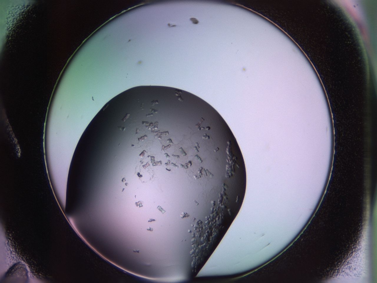 02th_A11_ImagerDefaults_6.jpg