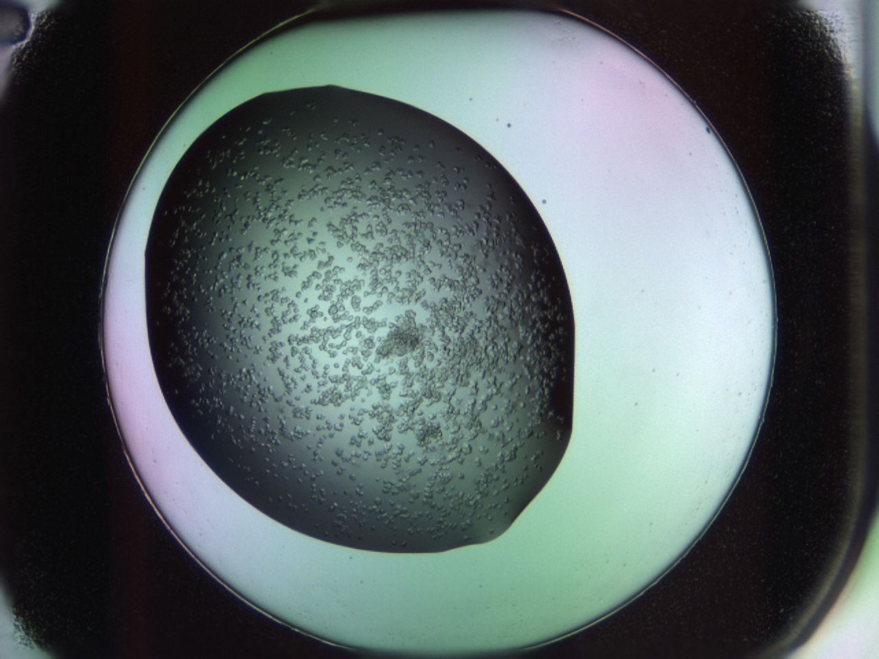02th_A2_ImagerDefaults_6.jpg