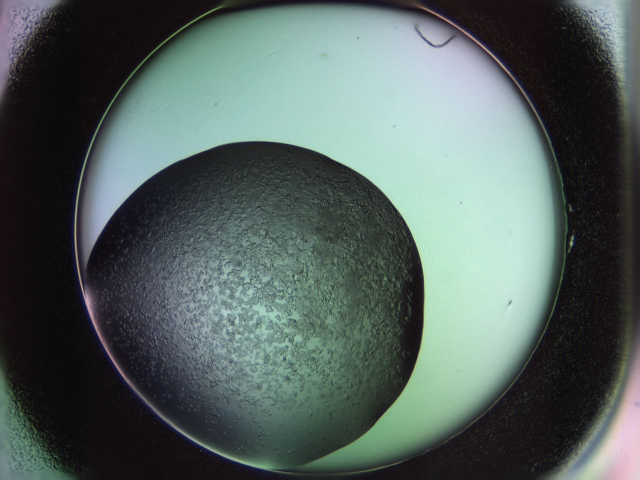 02th_A1_ImagerDefaults_6.jpg