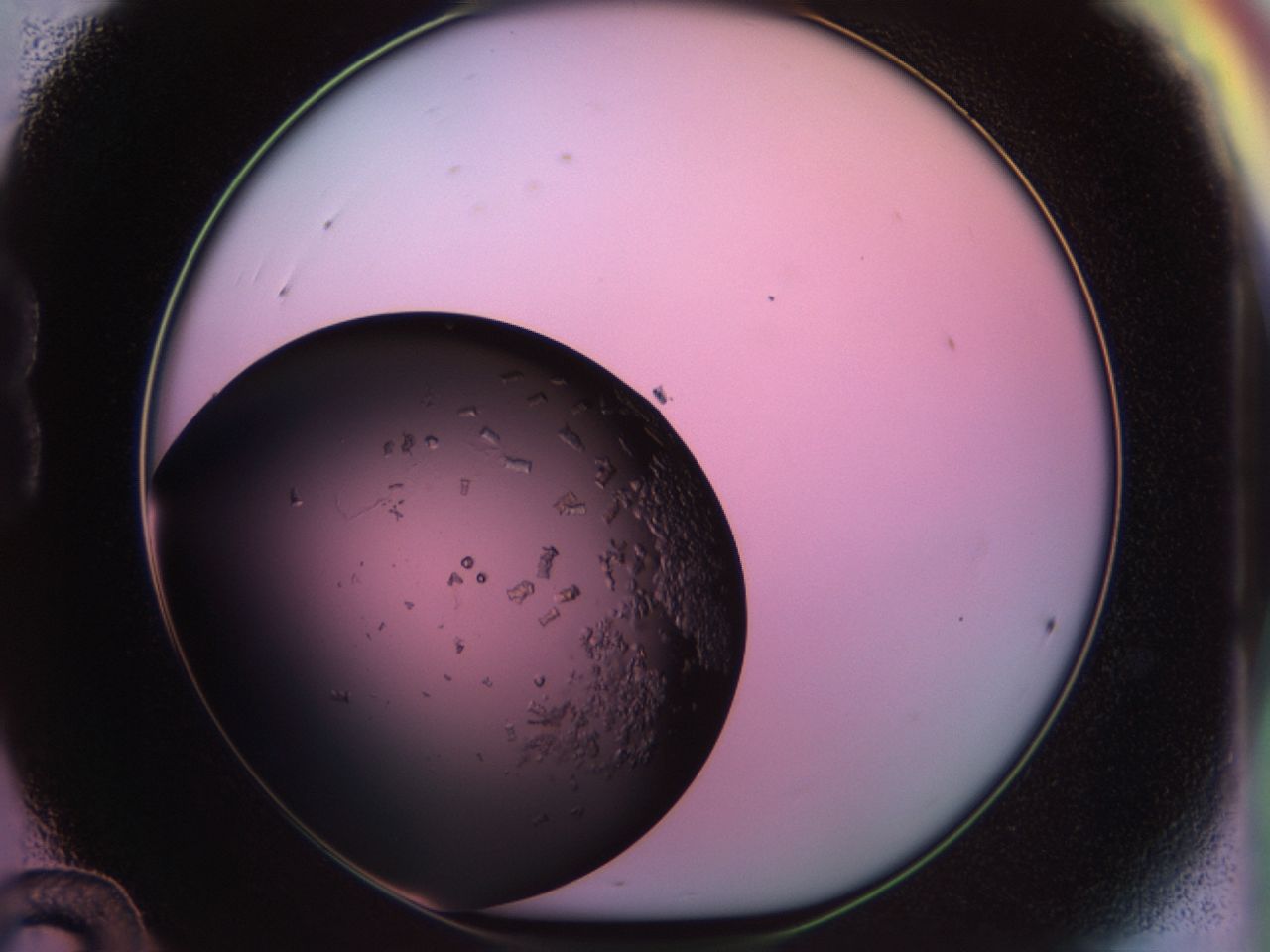02th_B12_ImagerDefaults_6.jpg