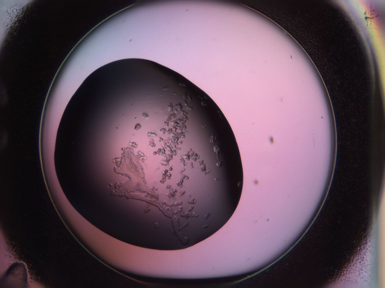 02th_C11_ImagerDefaults_6.jpg