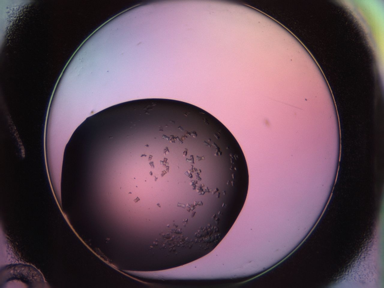 02th_A12_ImagerDefaults_6.jpg