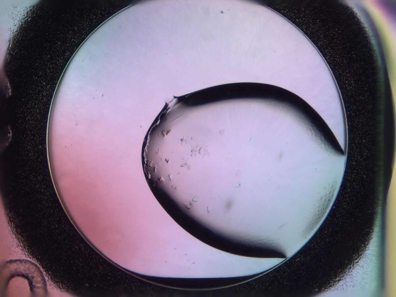 02tk_C10_ImagerDefaults_6.jpg