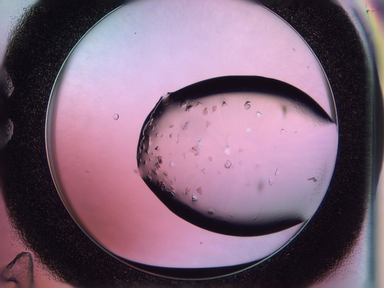 02tk_C11_ImagerDefaults_6.jpg