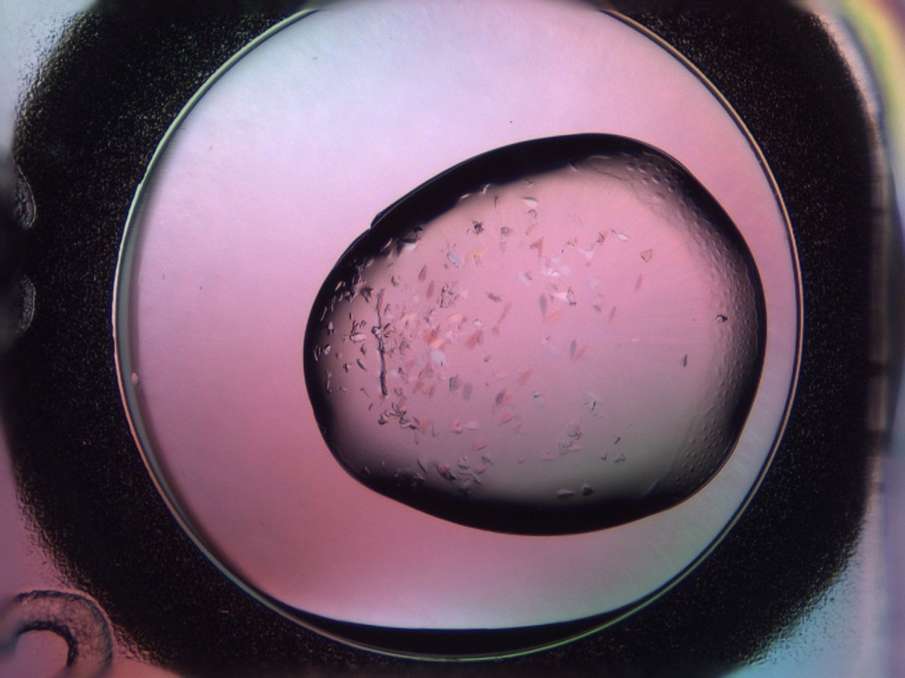 02tk_C12_ImagerDefaults_6.jpg