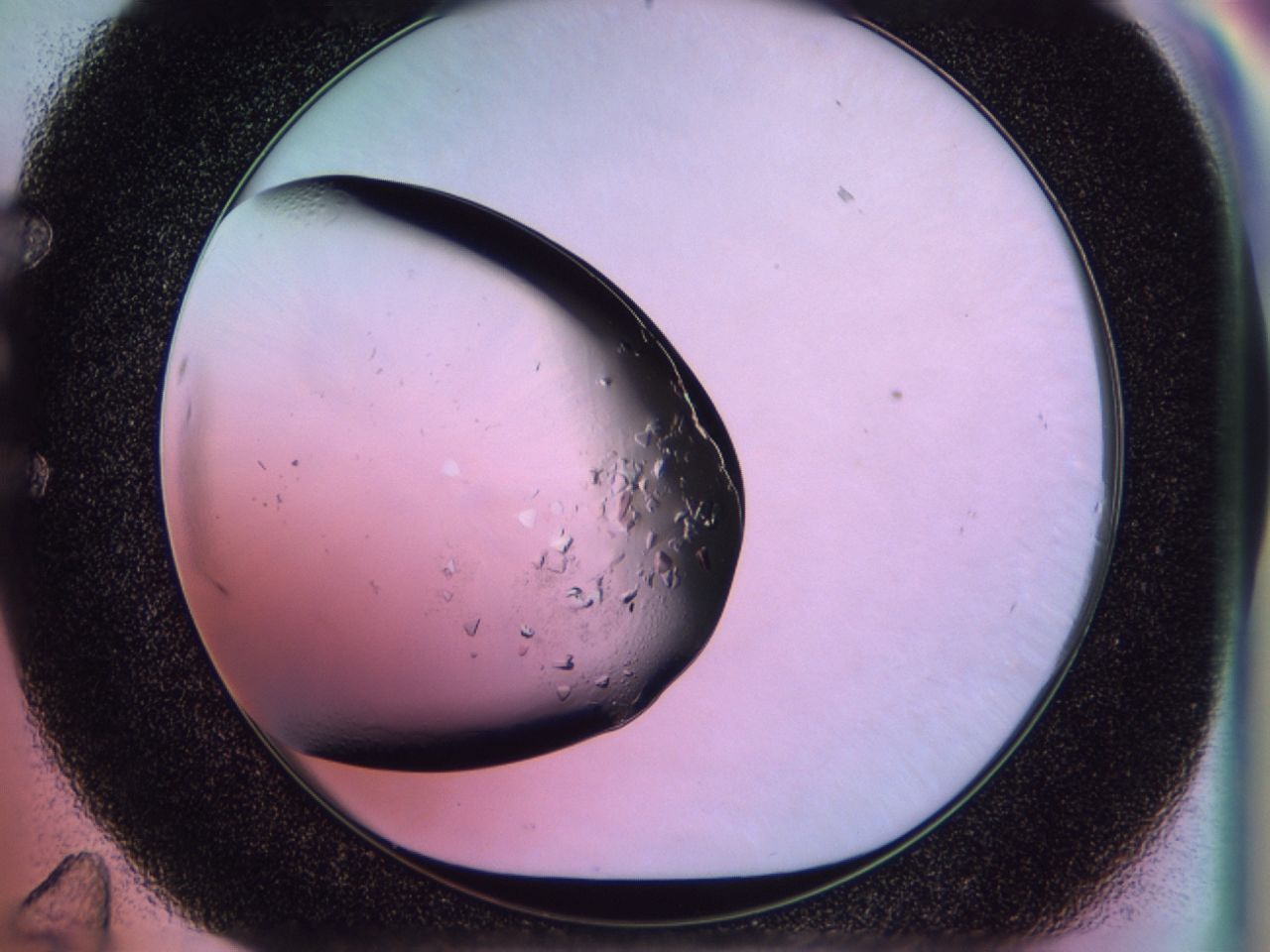 02tk_E11_ImagerDefaults_7.jpg