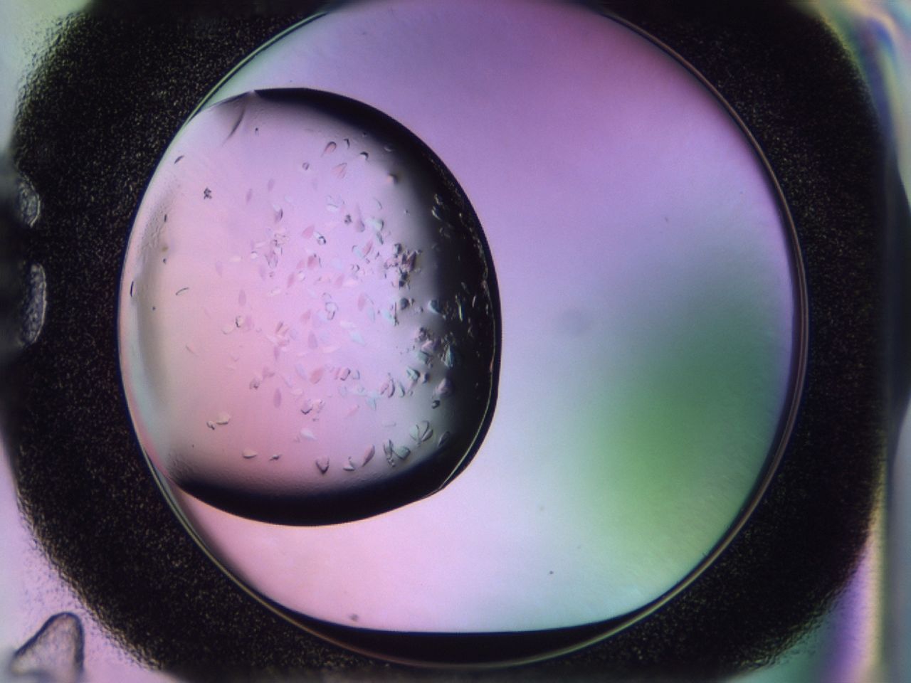 02tk_G11_ImagerDefaults_7.jpg