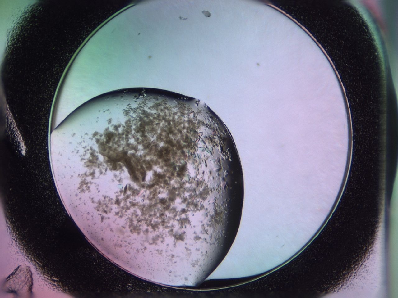 02tk_A11_ImagerDefaults_6.jpg