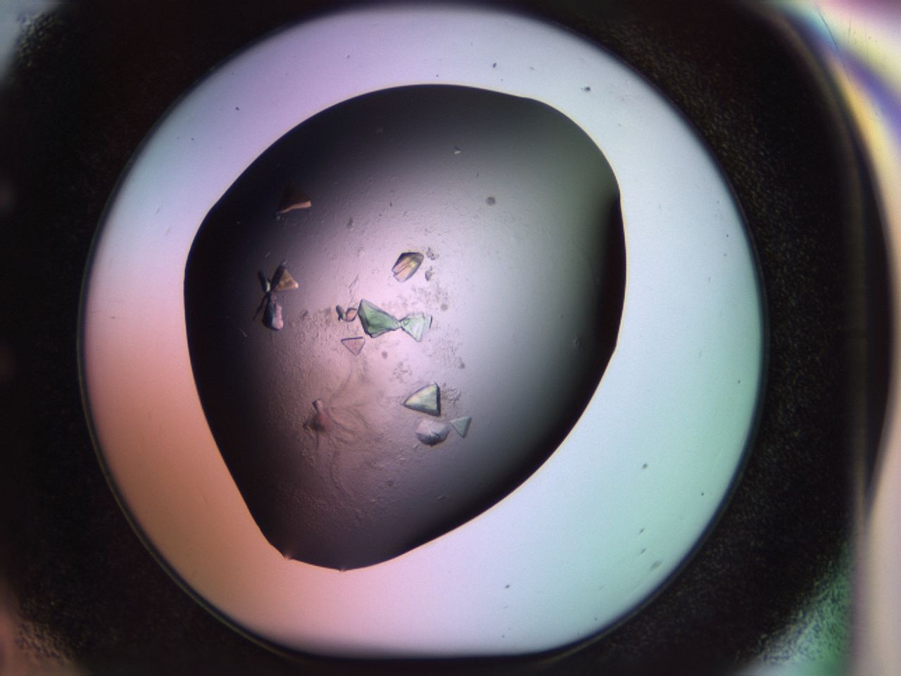 02tl_E6_ImagerDefaults_8.jpg
