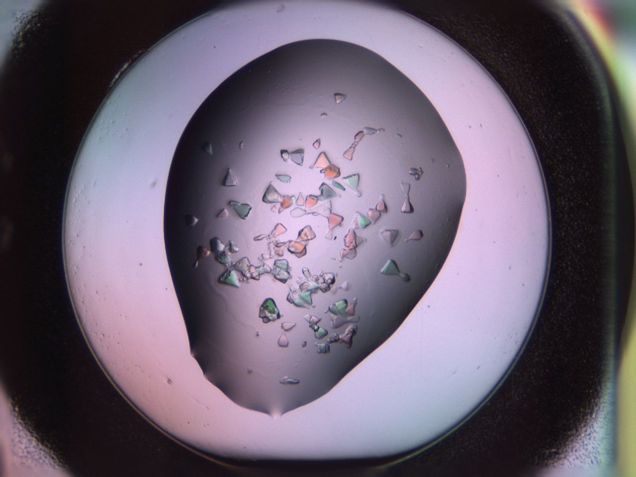02tl_C4_ImagerDefaults_9.jpg