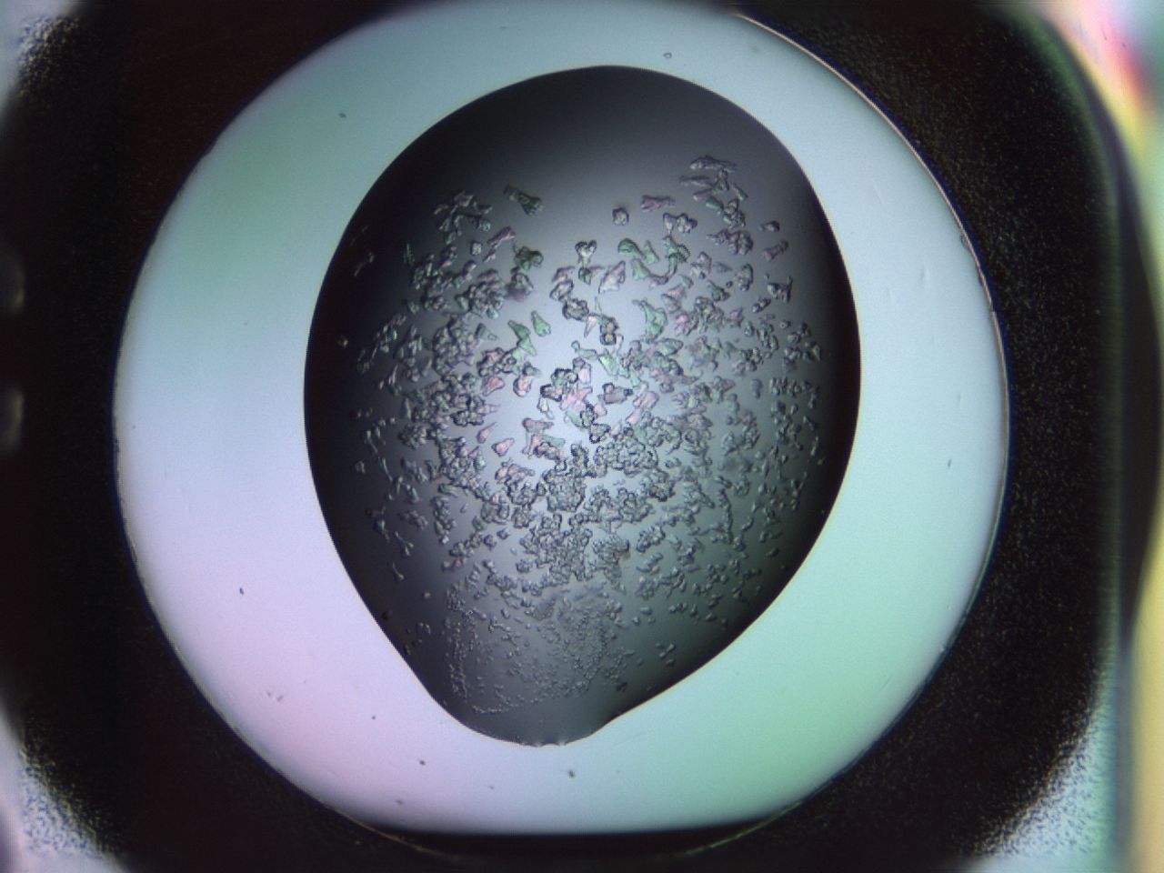 02tl_C2_ImagerDefaults_6.jpg