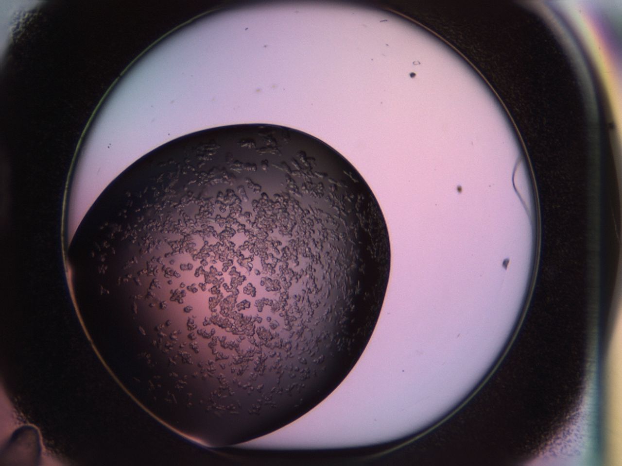 02tl_D11_ImagerDefaults_6.jpg