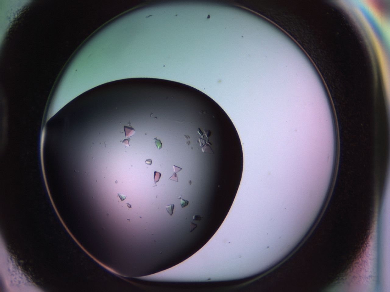 02tl_D9_ImagerDefaults_8.jpg