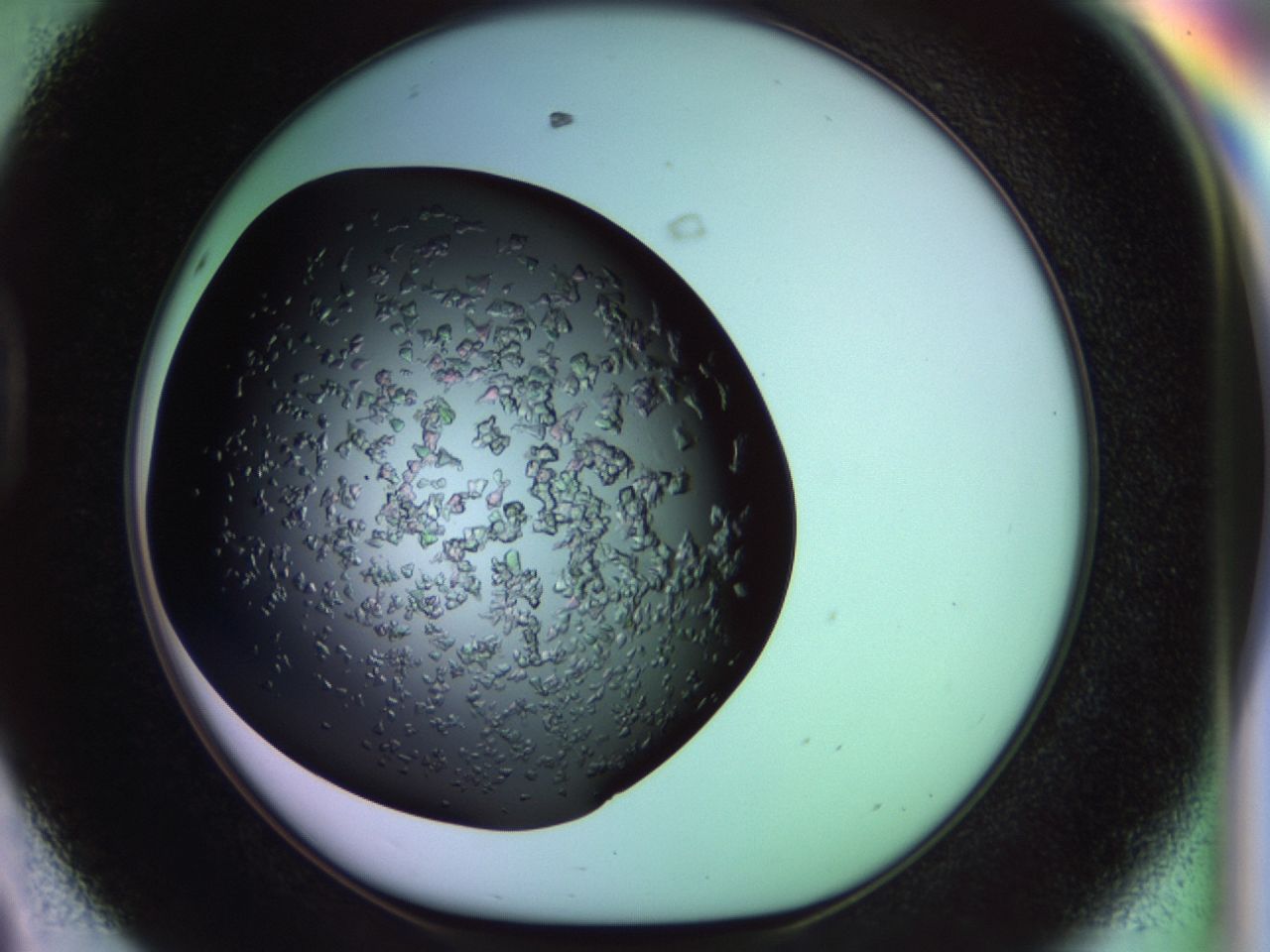 02tl_D8_ImagerDefaults_6.jpg