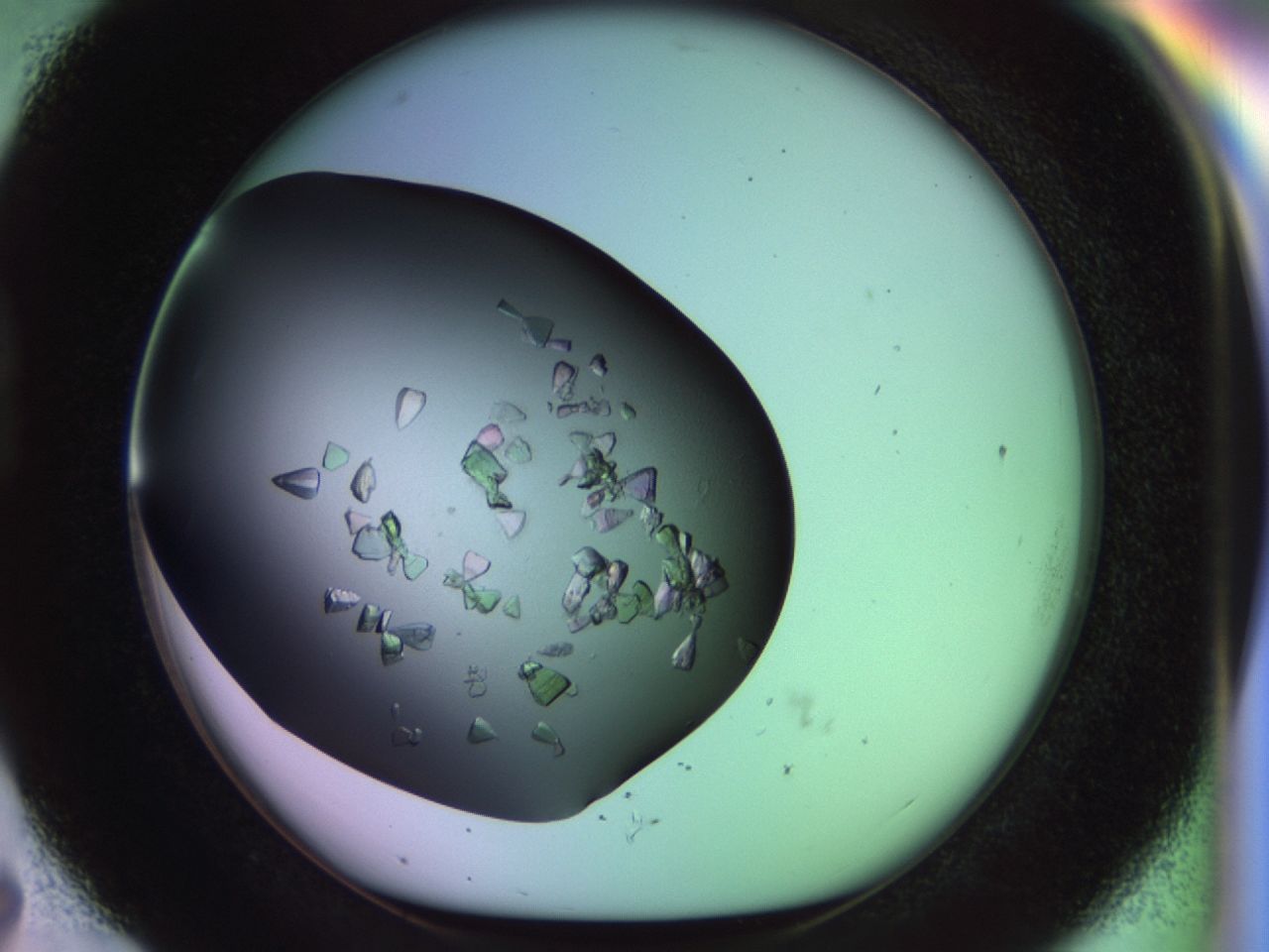 02tl_D7_ImagerDefaults_9.jpg