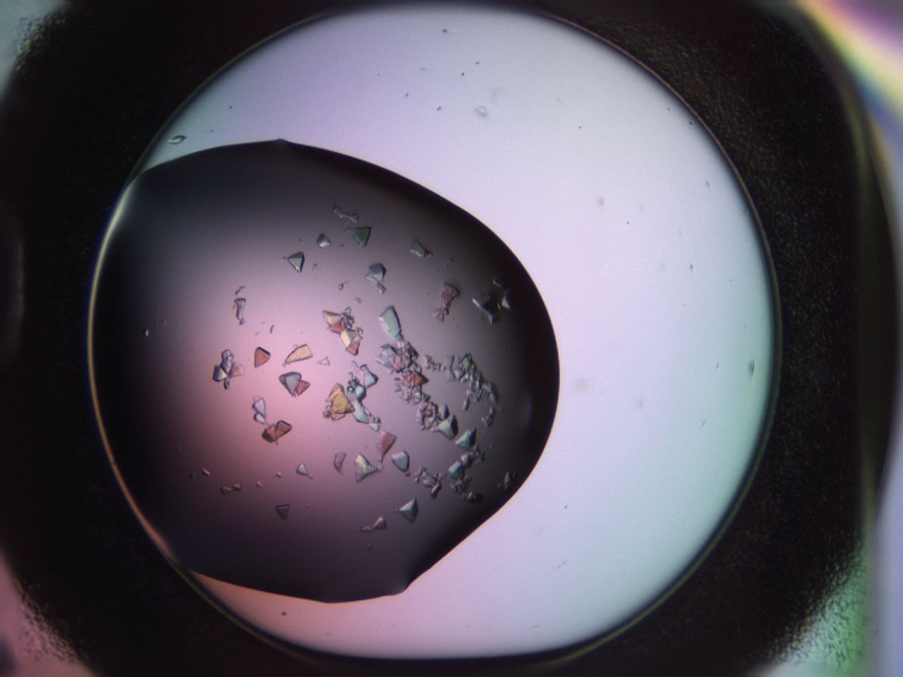 02tl_D6_ImagerDefaults_8.jpg