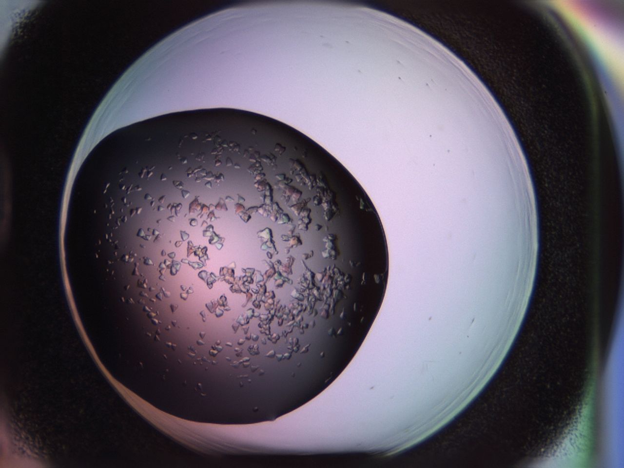 02tl_D5_ImagerDefaults_6.jpg