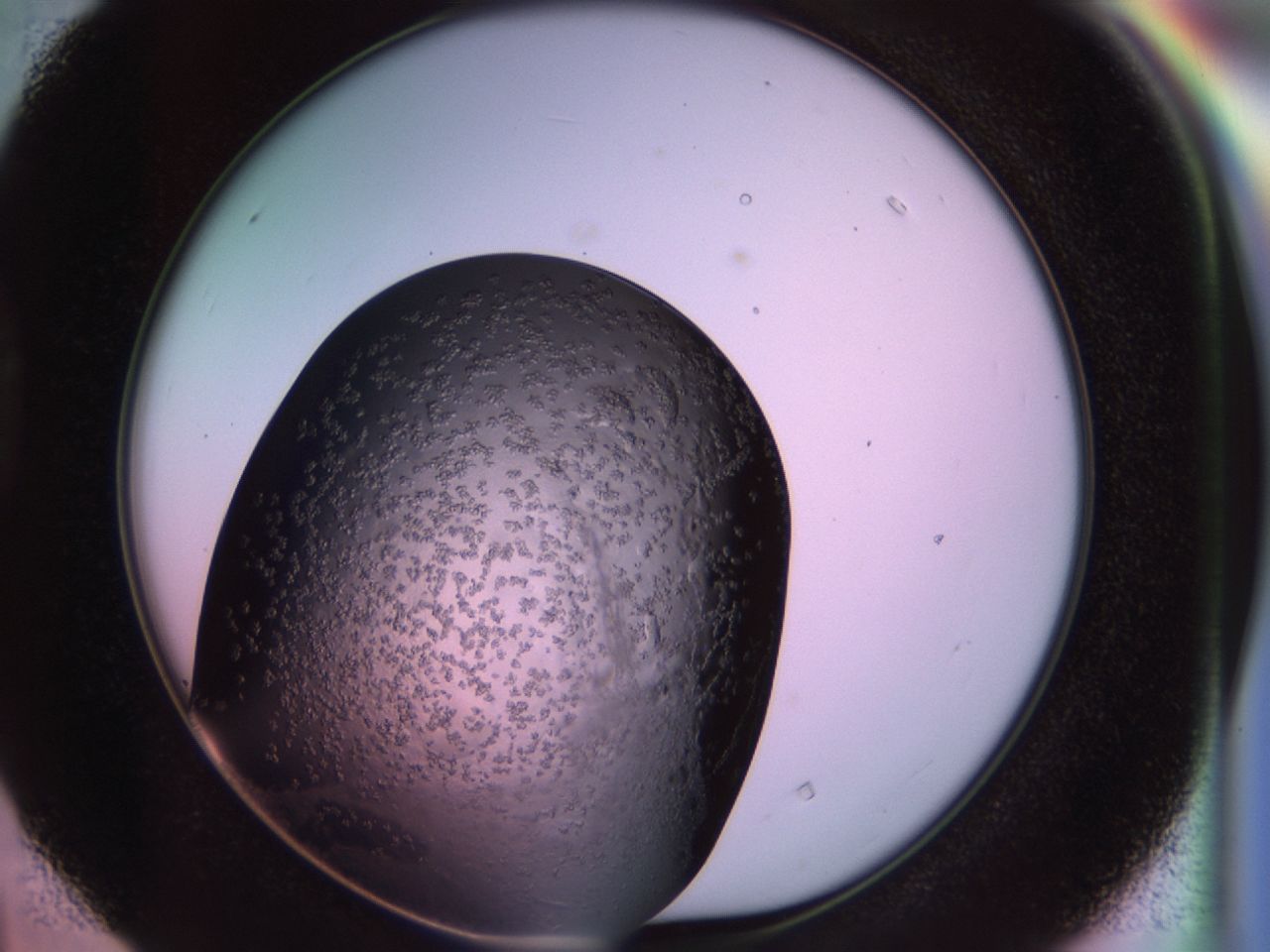 02tl_D4_ImagerDefaults_6.jpg