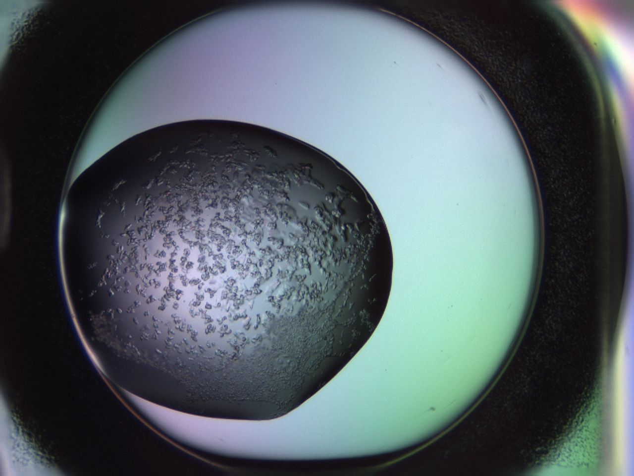 02tl_D3_ImagerDefaults_6.jpg