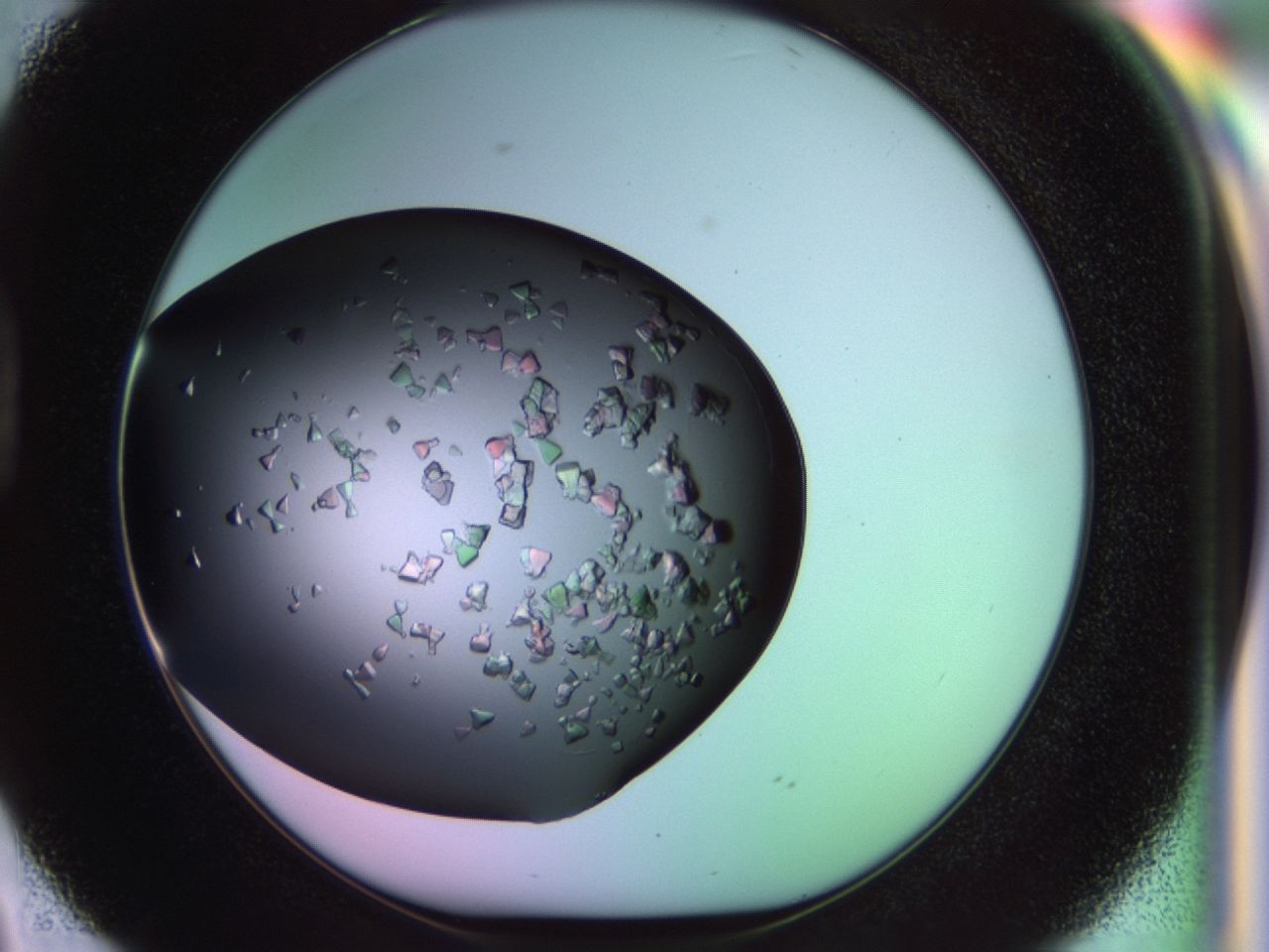 02tl_D2_ImagerDefaults_6.jpg